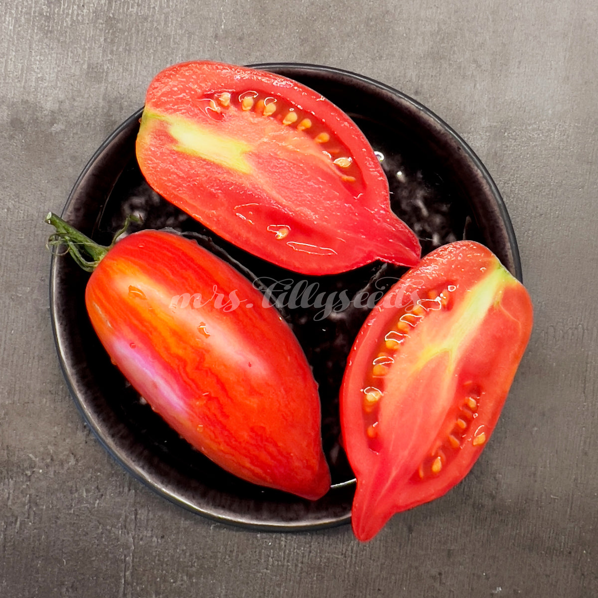 DWARF TOMATE LADY MADONNA mrs.tillyseeds