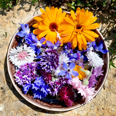 Essbare Blüten Blumenmischung - mrs.tillyseeds