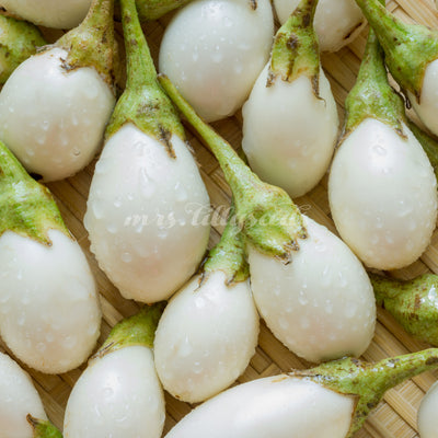 Weiß wie ein Ei, aber mit dem Geschmack von Würze und Pilzen – die White Egg Aubergine ist die perfekte Pflanze für kleine Gärten und Balkone. 