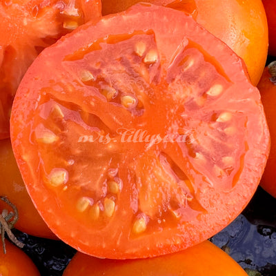 Eine Nahaufnahme der aufgeschnittenen Tomate namens Belarus orange.