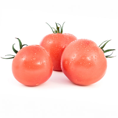 Reife pinke Tomaten auf weissem Hintegrund.