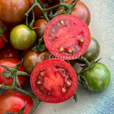 Aufgeschnittene Black Zebra Cherry Tomate, die das saftige rote Fruchtfleisch und die glatte Schale der Tomate in einem Arrangement mit anderen ungeschnittenen Tomaten in einer Schale präsentiert.