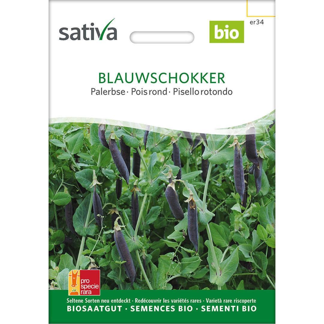 Palererbse Blauwschokker Samen | Erbsen Saatgut