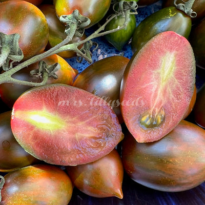 Aufgeschnittene Cookie Select Tomate mit saftigem, dunkelrosa Fruchtfleisch – aufgenommen bei natürlichem Licht auf blauem Teller.