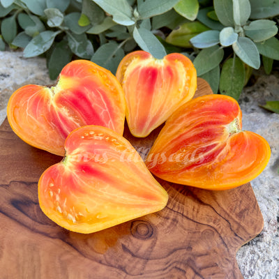 Herzförmige Tomatenhälfte mit leuchtend oranger und rosa Färbung, saftig und mit wenig Samen, auf einem Holzbrett präsentiert.