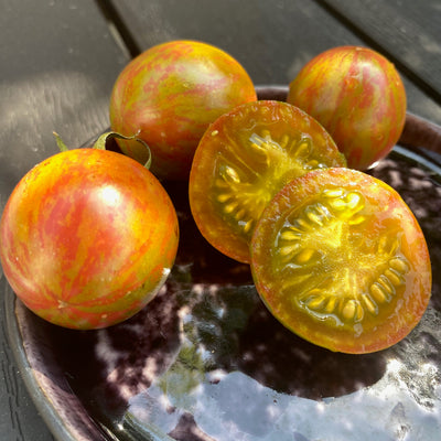 Gestreifte Cherrytomaten der Sorte Green Bumblebee mit saftigem, goldgrünem Fruchtfleisch und pinken Streifen, aufgeschnitten auf Keramikteller