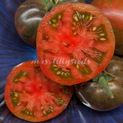 Aufgeschnittene Gunmetal Grey Tomate, die das saftige, süß-säuerliche Fruchtfleisch und die faszinierende rot-grüne Schale zeigt.