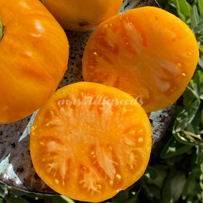 Große, orange-gelbe Fleischtomate der Sorte Janet’s Jacinthe Jewel auf Keramikteller, mit leicht gerippter Oberfläche und sonnigem Glanz.