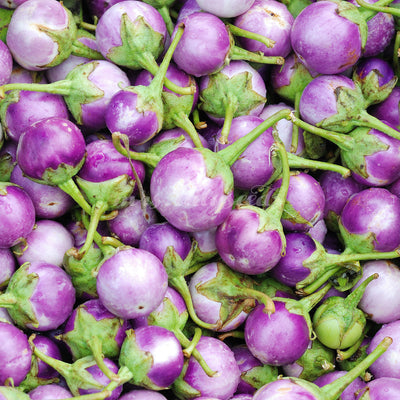 Wunderschöne Früchte der Aubergine Lao Lavender in einer Nahaufnahme.
