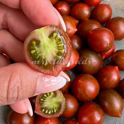 Eine Hand hält eine aufgeschnittene "Loi’s Baby Tiger" Tomate, die das saftige, rote Fruchtfleisch und die grünen Samen zeigt. Im Hintergrund sind mehrere braun-rote Tomaten mit grünen Streifen zu sehen.