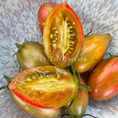 Längliche Kirschtomaten, reif und frisch gepflückt auf einem Tisch.