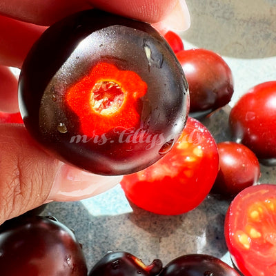 Micro Dwarf Tomatenpflanze mit süßen, fruchtigen Früchten, perfekt für den Anbau auf dem Fensterbrett.