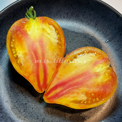 Aufgeschnittene Orange Mango Saakova Tomate mit zweifarbigem Fruchtfleisch in Gelb und Rot auf schwarzem Teller