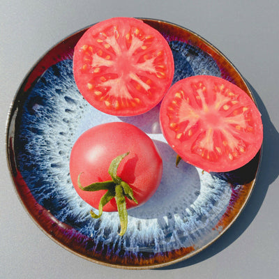 Tomate LIVINGSTONE'S MAGNUS - mrs.tillyseeds