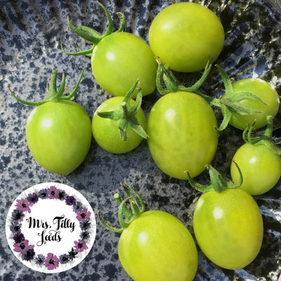 Cherrytomate GREEN GRAPE - mrs.tillyseeds